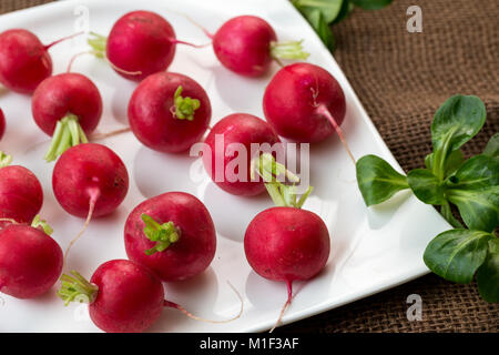 Rafano fresco sulla piastra bianca. Appena raccolto verdure organiche. Rosso europeo naturale ravanelli. Foto Stock