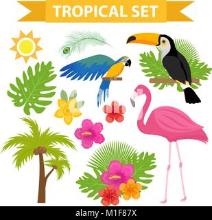 Tropical icon set con uccelli e fiori, piatta, stile cartoon. Collezione esotica di elementi di design con toucan, Parrot, impianto, flamingo, fiore. Il paradiso degli oggetti. Illustrazione Vettoriale. Illustrazione Vettoriale