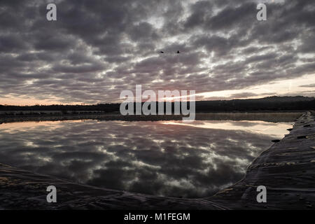 Fattoria Tuesley, Godalming. 30 gen 2018. Regno Unito Meteo. Un cielo terso ha portato a tutta la notte il gelo per la Home Counties. Un pupazzo di neve per iniziare la giornata a Godalming in Surrey. Credito: James jagger/Alamy Live News Foto Stock