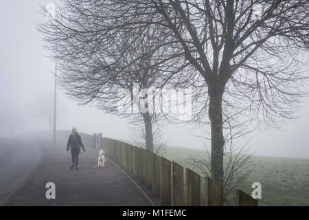 Cardiff, Galles, UK. 30 gen, 2018. Regno Unito Meteo. Un dog walker su una mattinata nebbiosa a Ely, Cardiff. Credito: Mark Hawkins/Alamy Live News Foto Stock