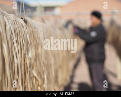 Zunhua cinese nella provincia di Hebei. 30 gen, 2018. Un abitante di un villaggio si asciuga vermicelli Zhongtan nel villaggio di Ping'ancheng township di Zunhua, nel nord della Cina di nella provincia di Hebei, Gennaio 30, 2018. Le persone locali sono state occupate vermicelli di essiccazione per far fronte alla domanda del mercato. Credito: Liu Mancang/Xinhua/Alamy Live News Foto Stock