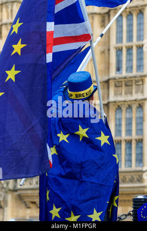 Anti-Brexit protester dimostra al di fuori della sede del parlamento di Londra, Inghilterra, Regno Unito, Gran Bretagna Foto Stock