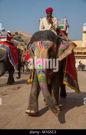 Mahout e il suo dipinto elephant di prendere i turisti per escursioni a Forte Amber, Jaipur, Rajasthan, India Foto Stock