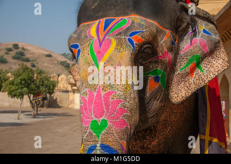 Dipinto decorato elefante corse prendendo a Forte Amber, Jaipur, Rajasthan, India Foto Stock