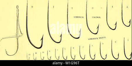 American Angler's guide - o, completo di fisher, manuale per gli Stati Uniti- contenente i pareri e le pratiche dei pescatori esperti di entrambi gli emisferi; con l'aggiunta di una seconda parte. (17923088680) Foto Stock