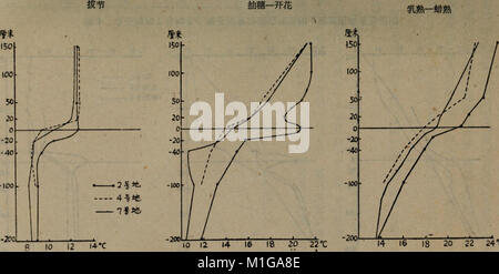 1959 nian bei jing di qu dong xiao mai zai pei yan jiu gao Bao Xuan ji (1959.9) (16050916353) Foto Stock