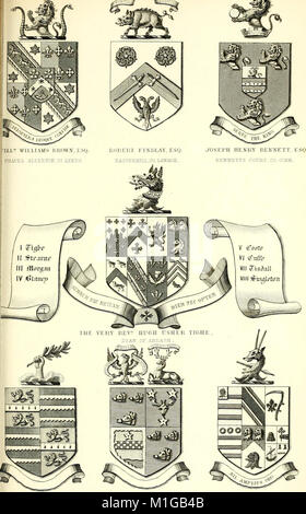 Una visitazione dei sedili e dei bracci dei nobili e signori di Gran Bretagna e Irlanda (1855) (14594064987) Foto Stock