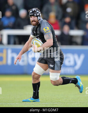 Gary Graham, Newcastle Falcons Foto Stock