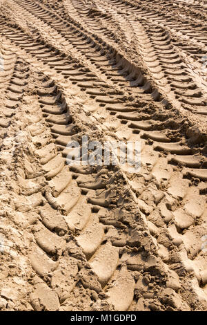 Il pneumatico del trattore le tracce in spiaggia di sabbia Foto Stock