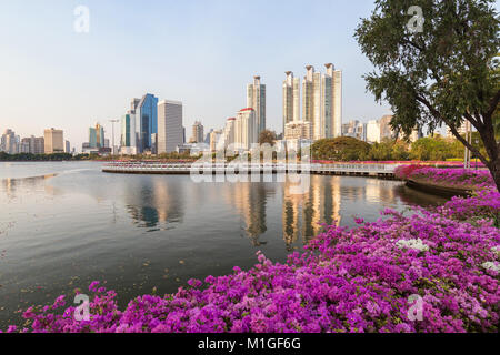 Aiuole in fiore al Benjakiti (Benjakitti) Park e i moderni grattacieli di Bangkok, Thailandia, al mattino. Foto Stock