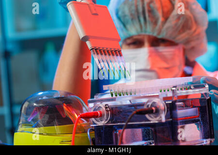 Scienziato carichi piastra PCR per l'analisi del DNA con pipette multicanale Foto Stock