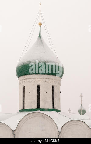 Salvatore's Cathedral, Pereslavl-Zalesskiy Yaroslavl Regione, Russia Foto Stock