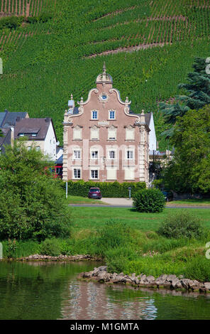 Vigneto Moenchhof e Uerziger Wuerzgarten, un famoso vino Riesling, vigneto a Uerzig, Mosella, Renania-Palatinato, Germania, Europa Foto Stock