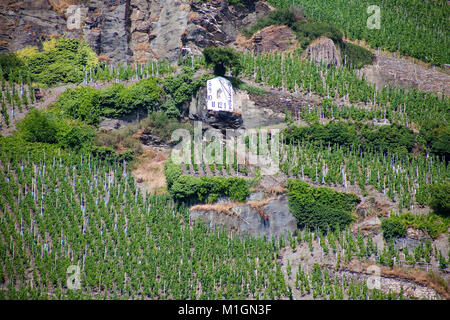 Meridiana a vigneto, viticoltura a Zeltingen-Rachtig, Mosella, Renania-Palatinato, Germania, Europa Foto Stock