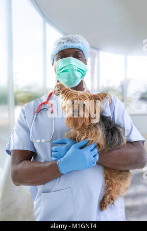 Ritratto di un surgeryveterinarian e Yorkshire terrier su un lussuoso pet sfondo ospedale Foto Stock