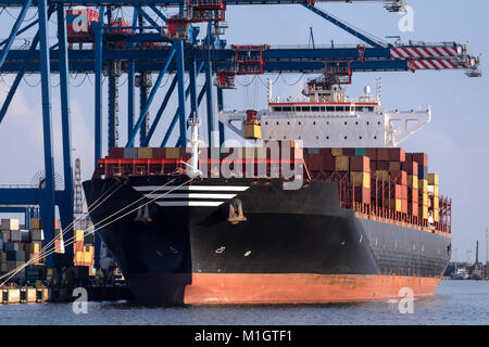Spese di spedizione - Caricamento di un contenitore grande nave nel porto di Klaipeda in Lituania. Foto Stock