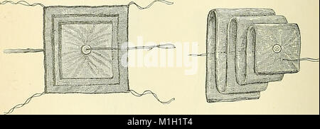 Un Americano di libro di testo dei genito-urinario malattie, sifilide e malattie della pelle (1898) (14596146367) Foto Stock