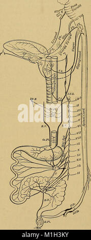 Una pratica sul trattato della diagnosi medica per gli studenti e i medici (1904) (14777025323) Foto Stock