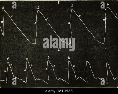 Un manuale di fisiologia umana, compresa l'istologia e anatomia microscopica, con particolare riferimento ai requisiti di medicina pratica (1885) (14779149164) Foto Stock