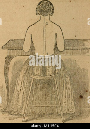 Un trattato di anatomia, fisiologia e igiene - progettato per college, accademie e famiglie (1850) (14781589841) Foto Stock