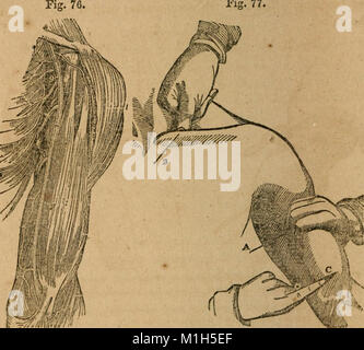 Un trattato di anatomia, fisiologia e igiene - progettato per college, accademie e famiglie (1850) (14784762705) Foto Stock