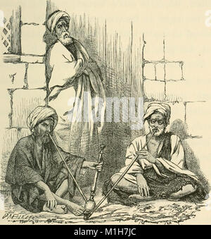 Un diario di viaggio in Oriente - durante il tour del Principe e della Principessa di Galles (1869) (14782976403) Foto Stock