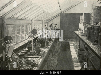 Un corso di laboratorio di fisiologia vegetale, specialmente come base per l'ecologia; (1901) (14589637838) Foto Stock