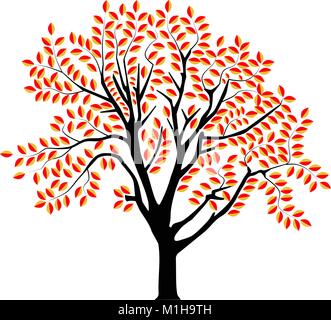Immagine vettoriale di un albero in autunno Illustrazione Vettoriale