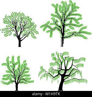 Raccolta di quattro differenti alberi Illustrazione Vettoriale