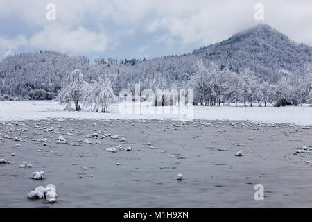 Paesaggio invernale di allagamento del campo con ghiaccio e neve, Planina, Slovenia Foto Stock