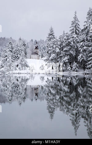 Paesaggio invernale con la riflessione di alberi innevati e la piccola chiesa sul Signore lago, Slovenia Foto Stock