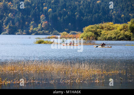 Canoa - kayak sul Lago di Cerknica, Slovenia Foto Stock
