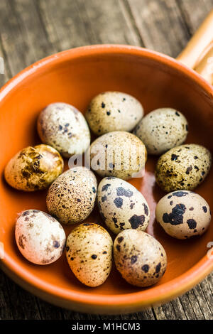 Guail fresche le uova in una terrina. Foto Stock