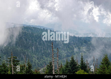 Parco Nazionale di Great Smoky Mountains, Tennessee, Stati Uniti d'America, vista da Clingman la cupola con nuvole di montagna e la nebbia ampie vallate e picchi e verde Foto Stock