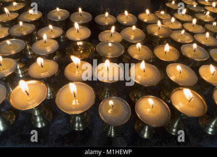 Il Tibetano lampade ad olio, bruciando candele buddista stand in diverse righe su uno sfondo nero. Foto Stock