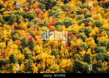 Foglie di autunno serbatoio Barkhamsted   Barkhamsted, Connecticut, Stati Uniti d'America Foto Stock