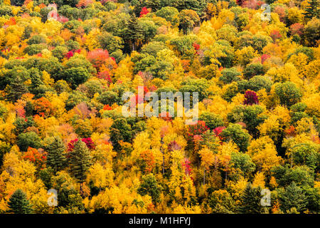 Foglie di autunno serbatoio Barkhamsted   Barkhamsted, Connecticut, Stati Uniti d'America Foto Stock