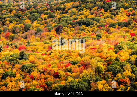 Foglie di autunno serbatoio Barkhamsted   Barkhamsted, Connecticut, Stati Uniti d'America Foto Stock