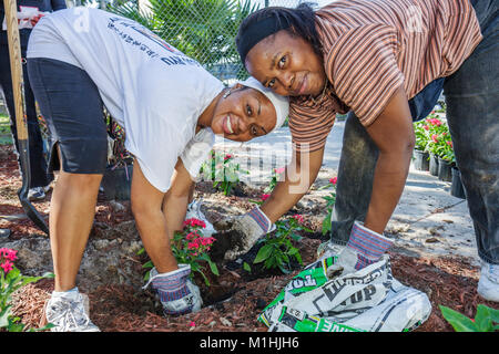 Miami Florida,Allapattah Middle School,campus,Hands on HANDSON Miami,volontari volontari volontari volontari lavoratori del lavoro, lavoro di squadra che lavorano insieme s Foto Stock