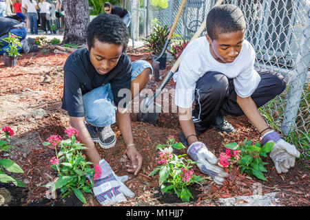 Miami Florida,Allapattah Middle School,campus,Hands on HANDSON Miami,volontari volontari volontari volontari lavoratori del lavoro, lavoro di squadra che lavorano insieme s Foto Stock