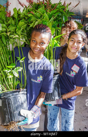 Miami Florida,Allapattah Middle School,campus,Hands on HANDSON Miami,volontari volontari volontari volontari volontari lavoratori del lavoro,lavorando insieme al suo servizio Foto Stock