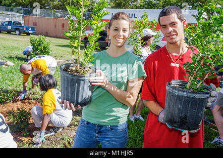 Miami Florida,Allapattah Middle School,Hands on HANDSON Miami volontari volontariato,lavoro di squadra che lavorano insieme coppia uomo uomo paesaggistico piantare Foto Stock