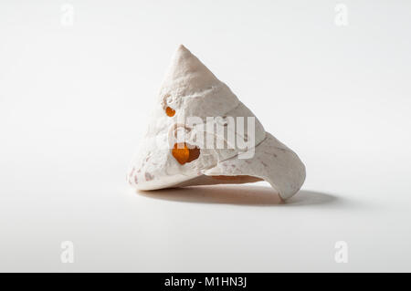 Leaky shell su sfondo bianco Foto Stock