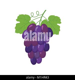 Grappolo di uva da vino Illustrazione Vettoriale