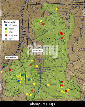 Un cumulativo Valutazione biologica di macroinvertebrato siti nel Custer National Forest Ashland Ranger (distretto di risorse elettroniche) - di una relazione per il Custer National Forest, Ashland Ranger (20631025998) Foto Stock
