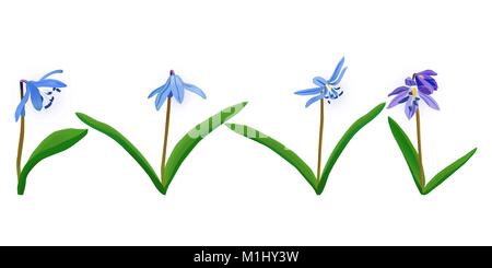 Set di vettore molla blu fiori Squill, Scilla. Elementi per creare il vostro design. Illustrazione Vettoriale