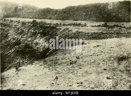 Un anno di Costa Rican storia naturale (1917) (14597612979) Foto Stock