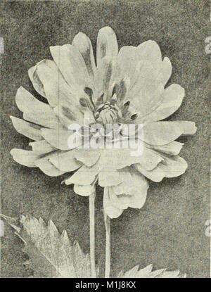 1915 Griffith e Turner Co. - Farm e di forniture da giardino (1915) (14576963747) Foto Stock