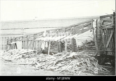 American Forestry, una pubblicazione dal 1910 al 1923, si concentra sulla gestione forestale, la conservazione e gli sforzi di sostenibilità negli Stati Uniti. Presenta ricerche, tendenze del settore e BEST practice relative alla gestione forestale e ambientale. Foto Stock