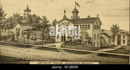La storia del 1877 della contea di Oswego, New York, fornisce un resoconto completo dello sviluppo del countyâ, compreso il suo insediamento, la crescita economica e l'evoluzione culturale. Il lavoro copre la storia della contea fin dai suoi primi giorni, mettendo in evidenza eventi chiave, figure e industrie che hanno plasmato l'identità di Oswego. Foto Stock